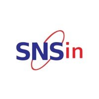 snsin cybersecurity
